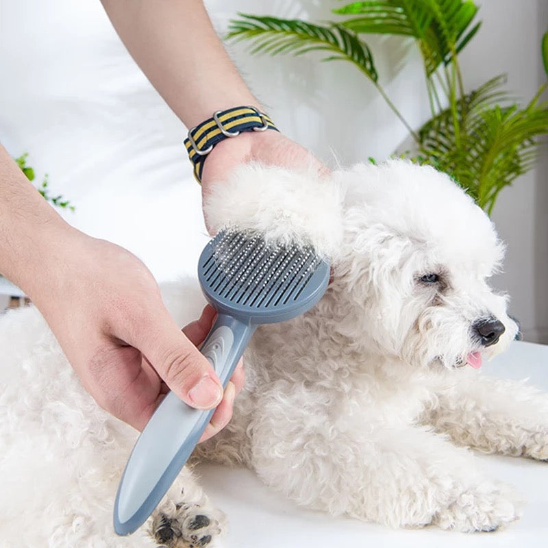 Grooming Brush for Cats & Dogs